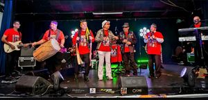 Bhangra Smash Up with Punjabi Dost on stage