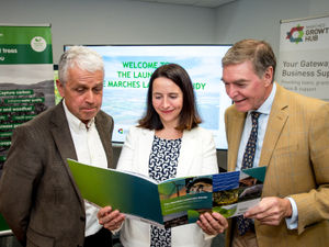 Supporting image for story: Marches LEP supported 8,500 businesses in 2023  