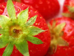 Supporting image for story: Strawberries yield a juicy crop for growers