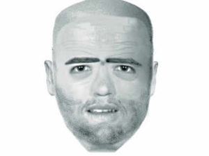 Supporting image for story: Police release efit of sex assault suspect