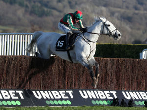Supporting image for story: Ultimate race event Cheltenham Festival set to return