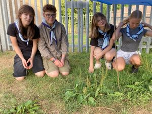 Now to get some shade after building our shelter