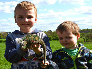 Supporting image for story: Fordhall Organic Farm spring event hailed great success