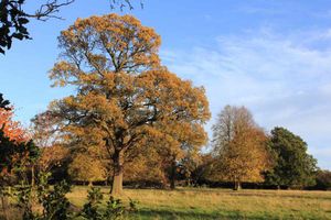 Northycote Farm and Country Park. By Mark Haddon, Willenhall
