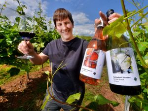 Supporting image for story: Vineyard enjoying fruits of first harvest with range of wines