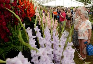 Shrewsbury Flower Show 2018