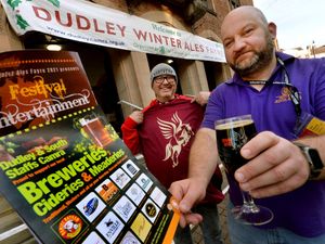 Supporting image for story: Future of beer festival in doubt as organisers needed