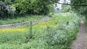 How it looked heading North before the work. Picture: Shropshire Union Canal Society