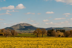 According to Mark Pritchard The Wrekin is helped to be put on the map by the name of the constituency