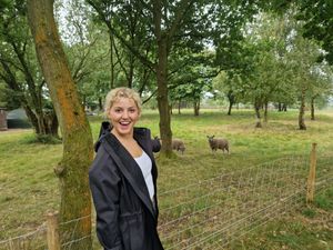 Some friendly sheep in the micro-farm. 