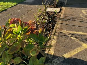 Supporting image for story: Gardening group thanked for sprucing up church hall grounds