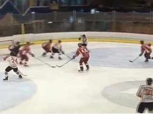 Supporting image for story: Telford Tigers v Swindon Wildcats - match highlights