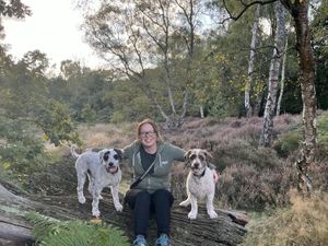 Supporting image for story: Kidderminster vets warn against using CBD to calm pets on bonfire night