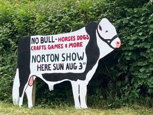 Supporting image for story: Birds of prey, vintage vehicles and hobby horses - Norton Show promises to have something for all ages this Sunday