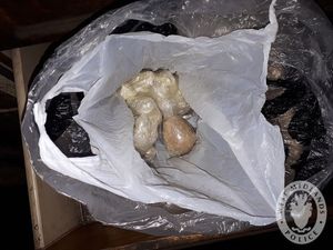 Supporting image for story: Dozens arrested and £80k in class A drugs seized in dawn raids 