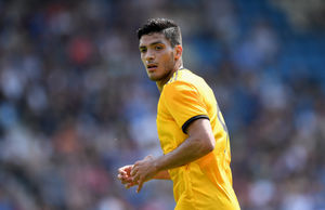 Will Raul Jimenez cut it in the Premier League? (AMA/Sam Bagnall)