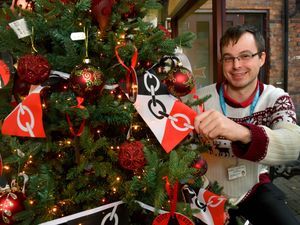 Supporting image for story: Dudley Christmas Tree Festival showcases 30 designs highlighting creativity and good work in the local community