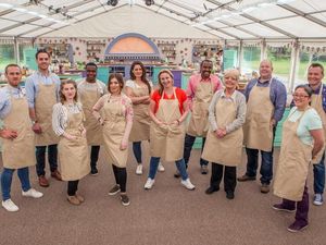 Supporting image for story