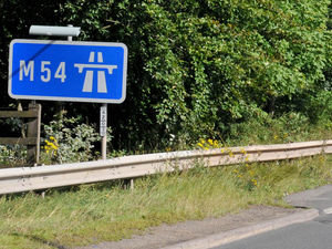Supporting image for story: Casualty cut from car which crashed up verge on M54