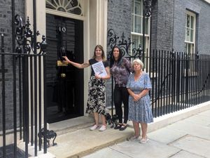 Supporting image for story: Stourbridge MP Cat calls for tighter protection for cats in road accidents