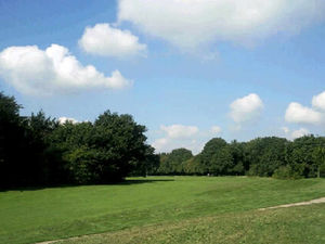 Supporting image for story: Homeless and drugs at golf course, claim