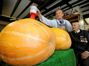 Supporting image for story: Giant pumpkins to help our heroes
