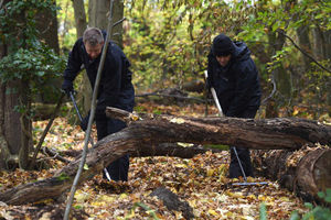 Police search for clues today
