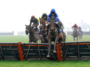 Supporting image for story: Favourites make the running at Ludlow