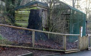 The Geoffroy's Cat area which is be changed