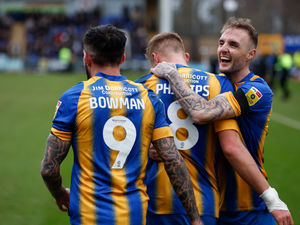 Supporting image for story: Shrewsbury's Carl Winchester: We've got same spirit as Sunderland's promotion winning side