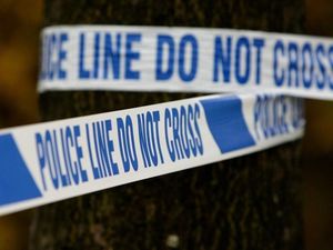 Supporting image for story: Wolverhampton schoolgirl has lip ripped off in horrific dog attack