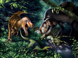 Supporting image for story: ‘Teenage’ bones show how T. rex went from sleek and slender to crushing monster