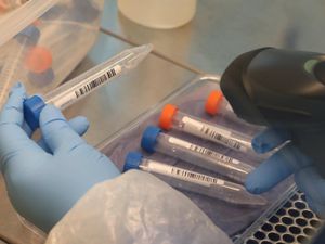 Supporting image for story: No new Covid-19 deaths - while jab programme progresses