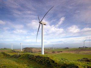 Supporting image for story: New wind farm proposed for Newtown