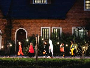 Supporting image for story: How to survive Halloween…