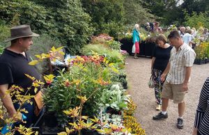 Dorothy Garden Summer Plant Hunters' Fair