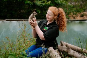 Alison Bridgwater with Kovu the Meerkat at Hoo Farm