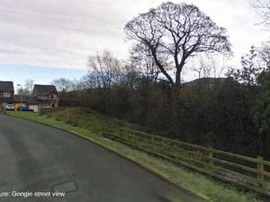 Supporting image for story: Welshpool to investigate new bridge plans