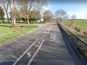 Supporting image for story: Horse put down after being 'spooked' by traffic on A49 and 'jumping into road'