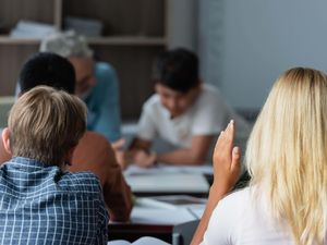 Supporting image for story: Inequality may alter children’s brains regardless of individual wealth – study