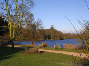 Supporting image for story: Ellesmere councillors call for speed limit reduction 