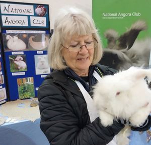 Sally May with Harribulis the Angora rabbit on the National Angor Club stand.