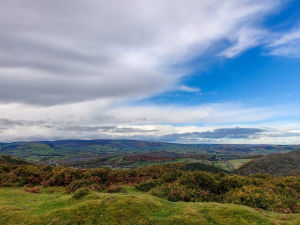 Supporting image for story: Work to provide a water supply to livestock grazing on Kington’s famous Hergest Ridge, has been supported by the town council