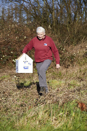 One of the volunteers