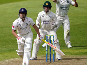 Supporting image for story: Bears must chase victory to claim Championship