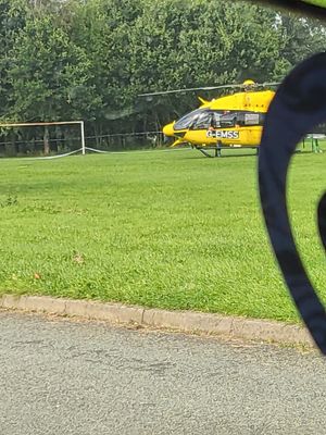 An air ambulance was called into action
