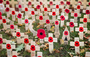 RBL Field of Remembrance 