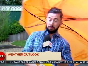 Supporting image for story: This weatherman being blown away by a gust of wind on live TV is the best thing you'll see all day