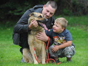 Supporting image for story: Dog rescued by firefighters after getting stuck in bushes in Bilston