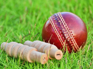 Supporting image for story: Week of celebrations to mark end of Shropshire’s virtual primary school games